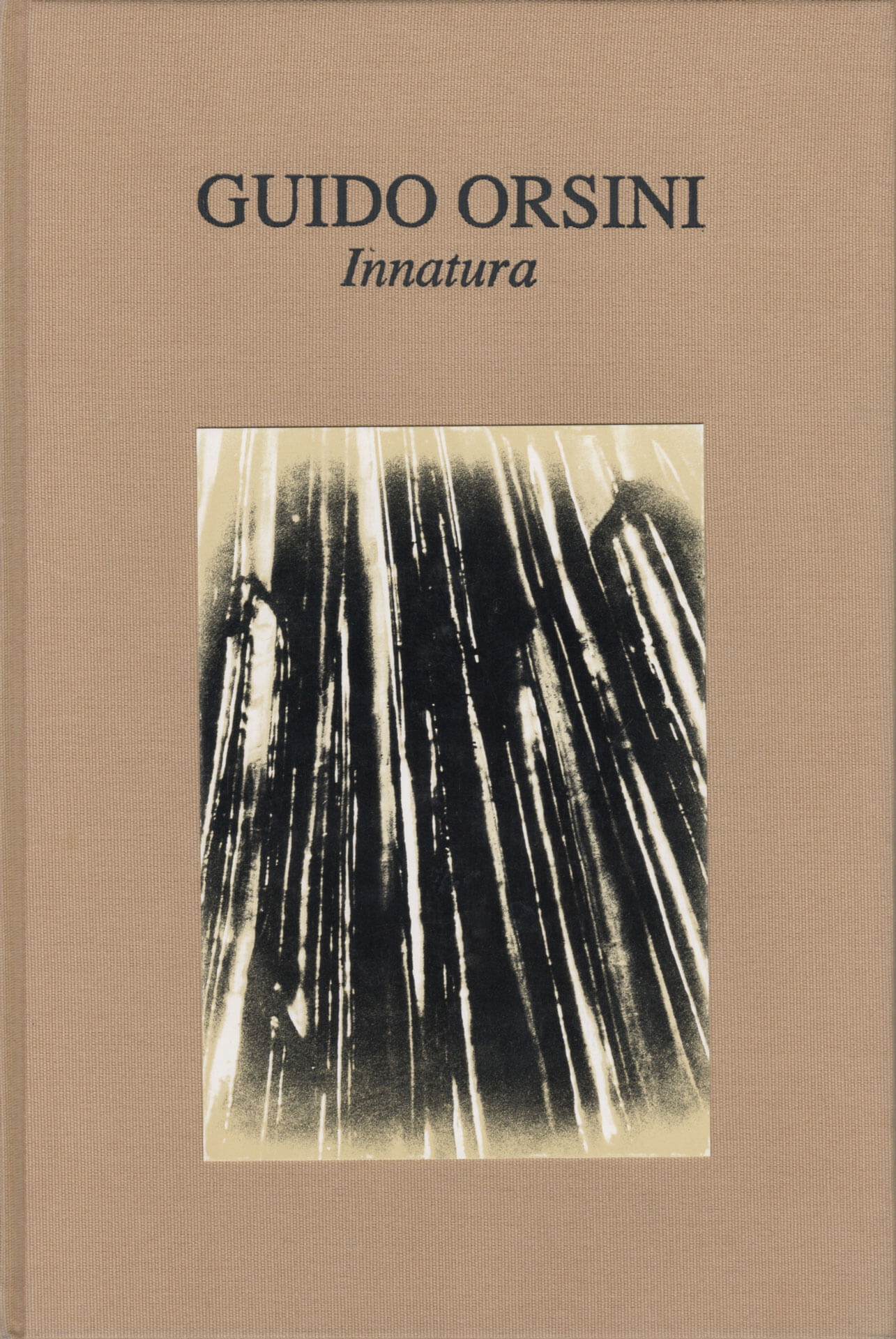 Studio Stefania Miscetti | Catalogues | Guido Orsini | Innatura